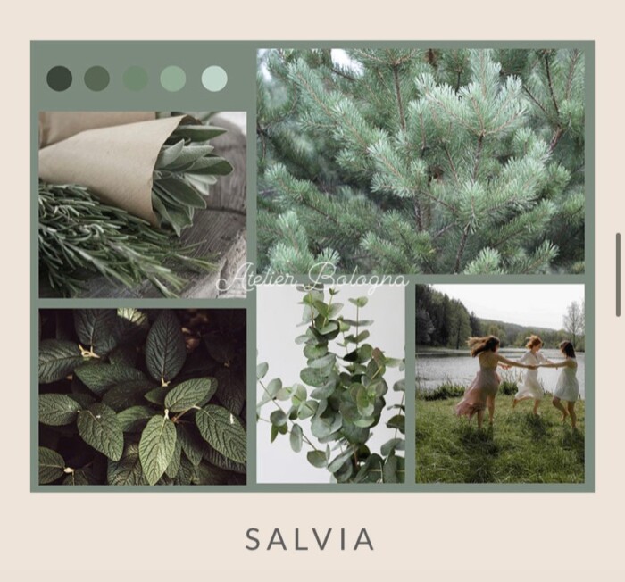 Colore salvia