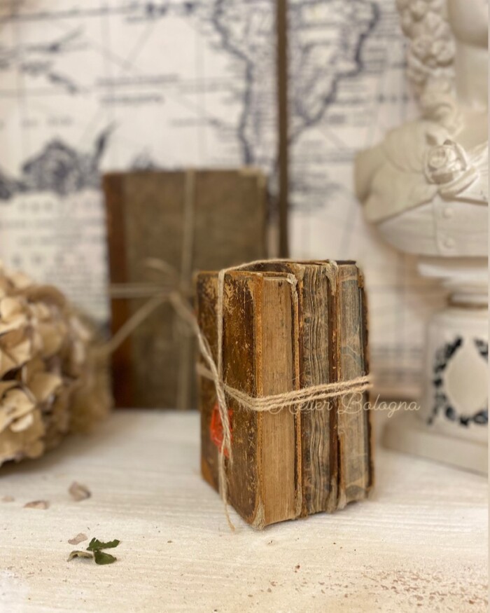 Set 3 libri antichi Francesi - immagine 3