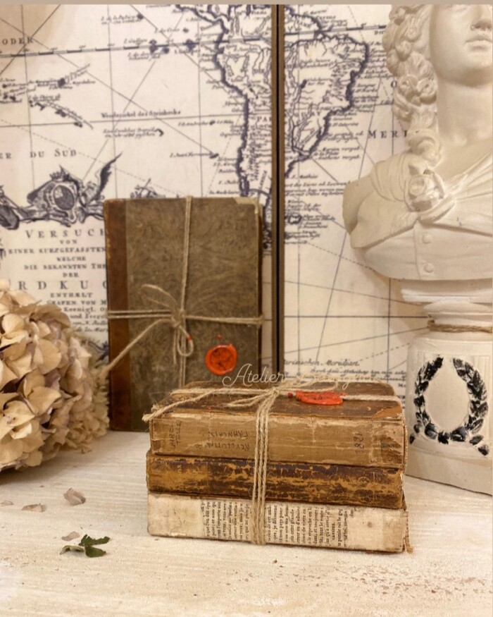 Set 3 libri antichi Francesi - immagine 4
