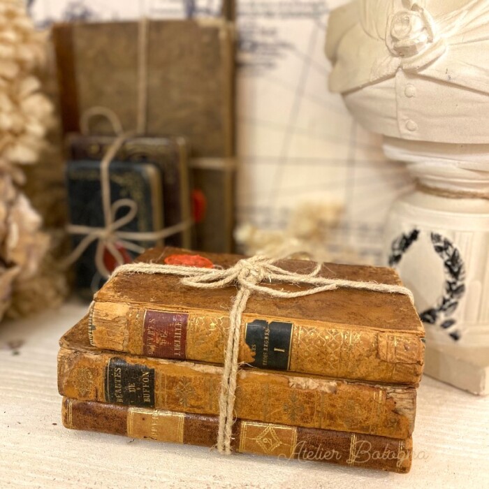 Libri antichi francesi, Atelier Bologna