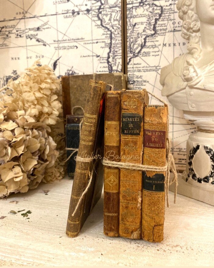 Set 3 libri antichi Francesi - immagine 3