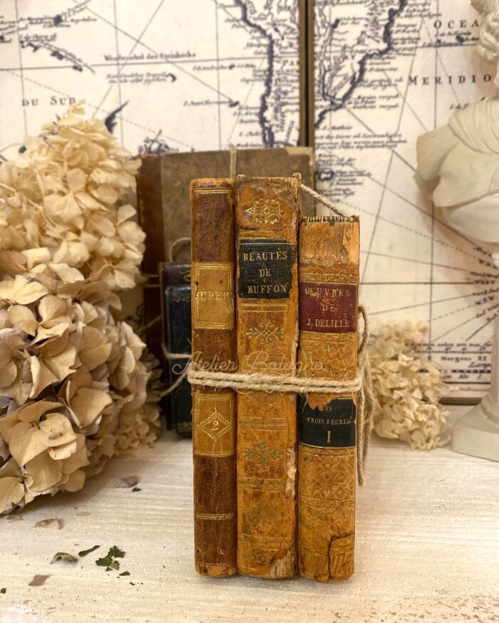 Set 3 libri antichi Francesi - immagine 2