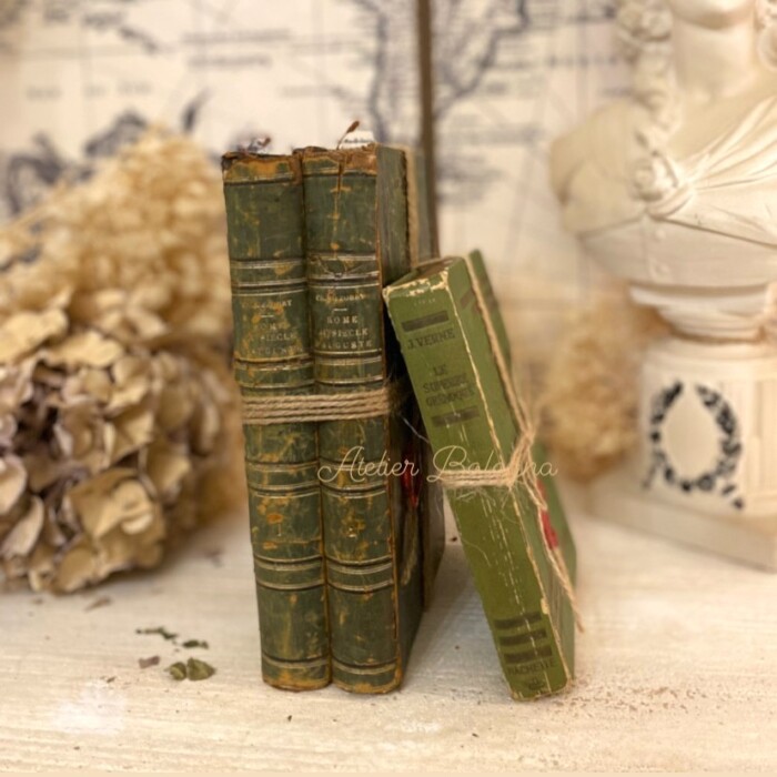 Libri antichi francesi, Atelier Bologna