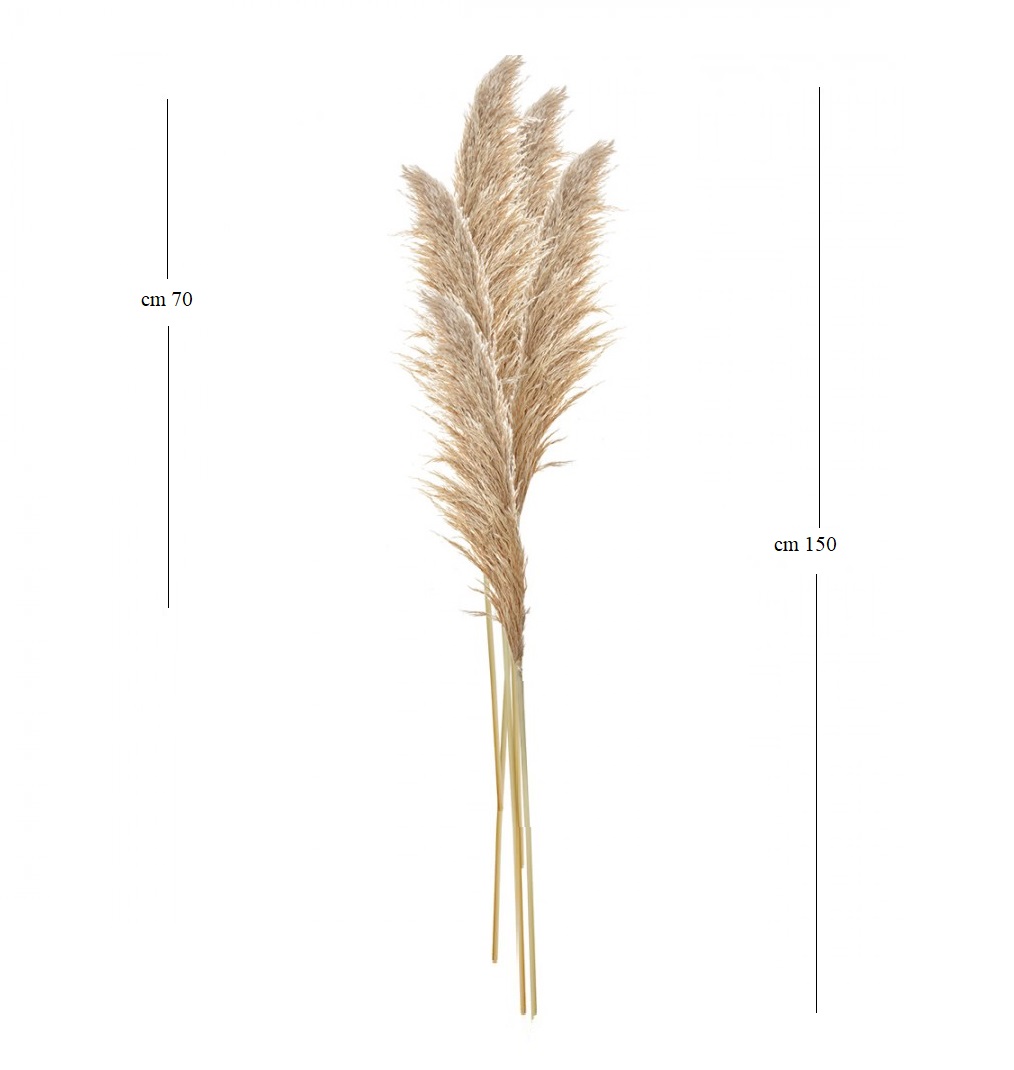 Pampas naturali Atelier Bologna