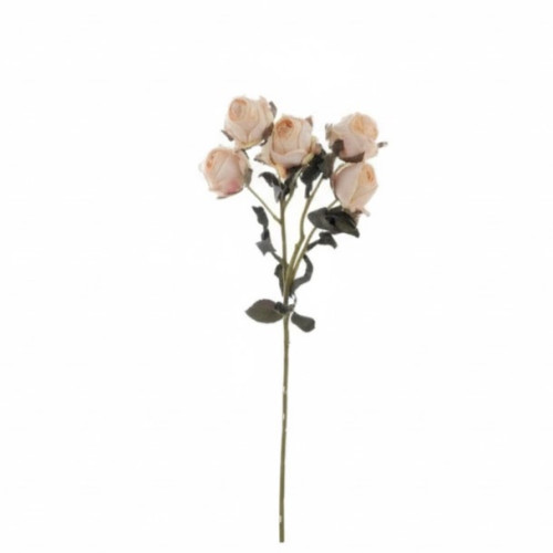 Fiori Blanc Mariclò, Atelier Bologna, Shabby Chic, Provenzale.
