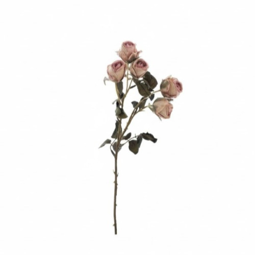 Fiori Blanc Mariclò, Atelier Bologna, Shabby Chic, Provenzale.