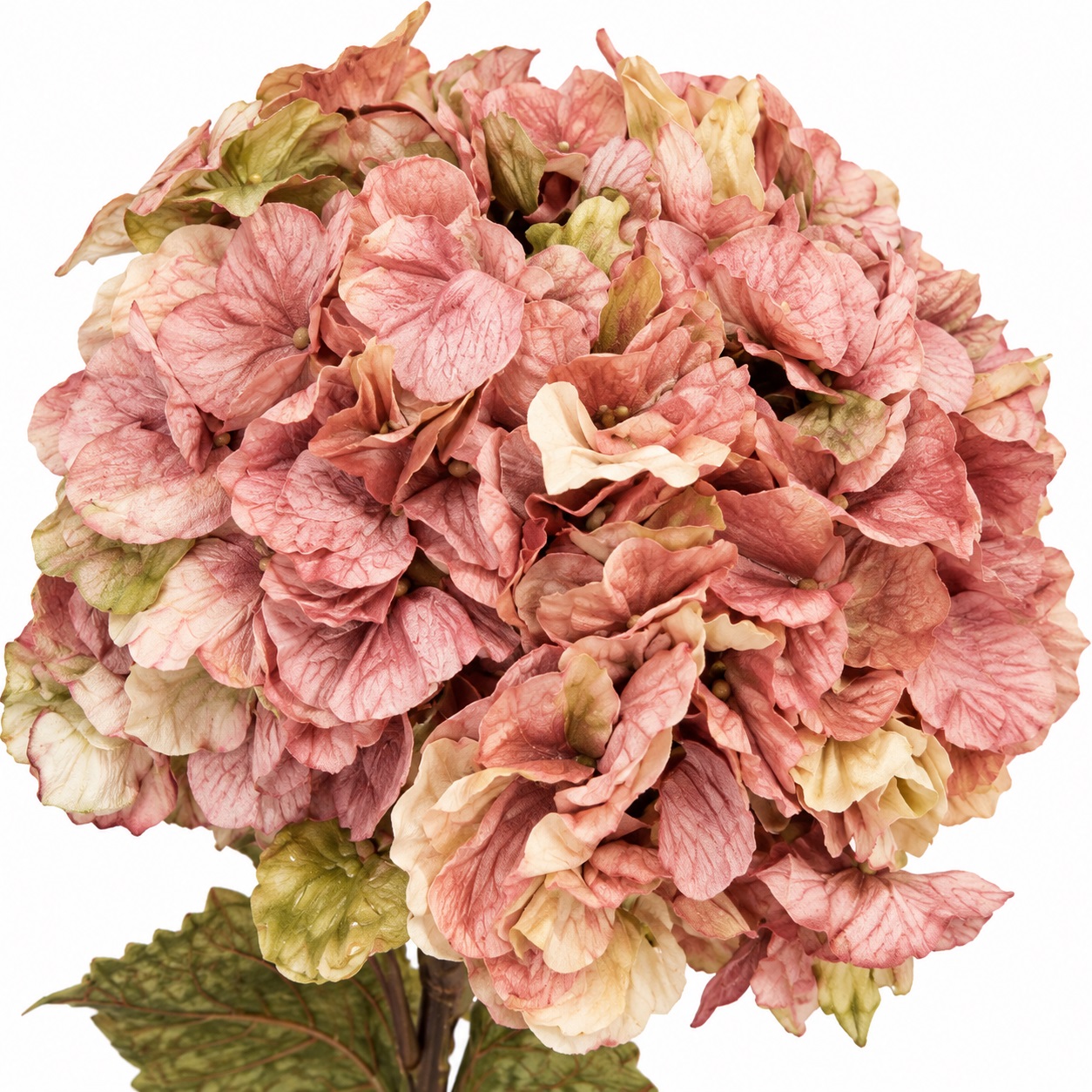 Ramo di Ortensia, Autunno Shabby Chic, Atelier Bologna